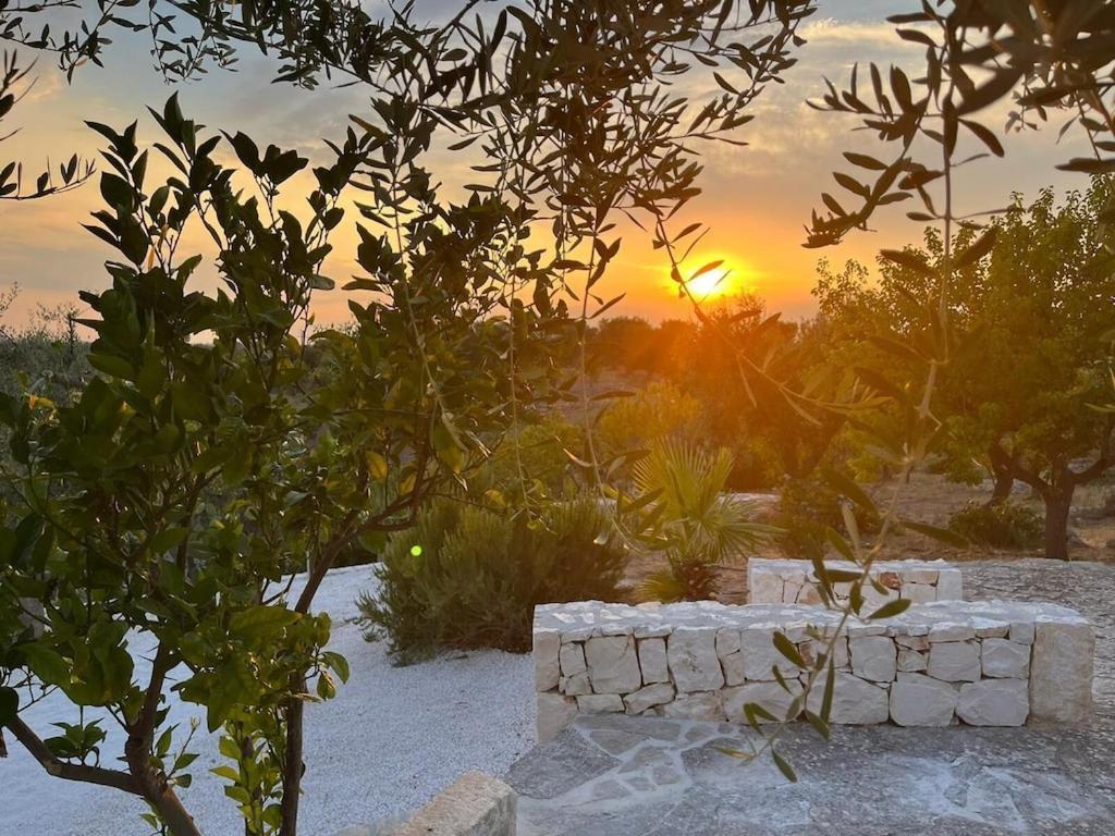 Casa Giuliveto - Charmantes Ferienhaus Mit Privatpool In Olivenhain Ostuni Eksteriør bilde