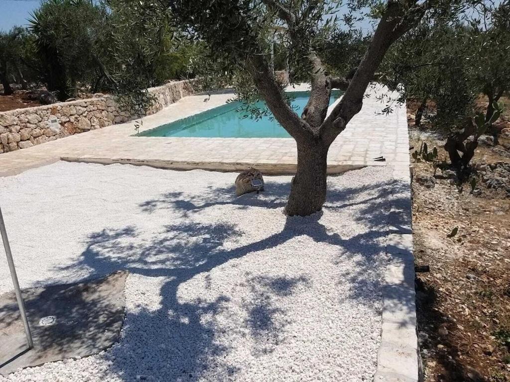 Casa Giuliveto - Charmantes Ferienhaus Mit Privatpool In Olivenhain Ostuni Eksteriør bilde