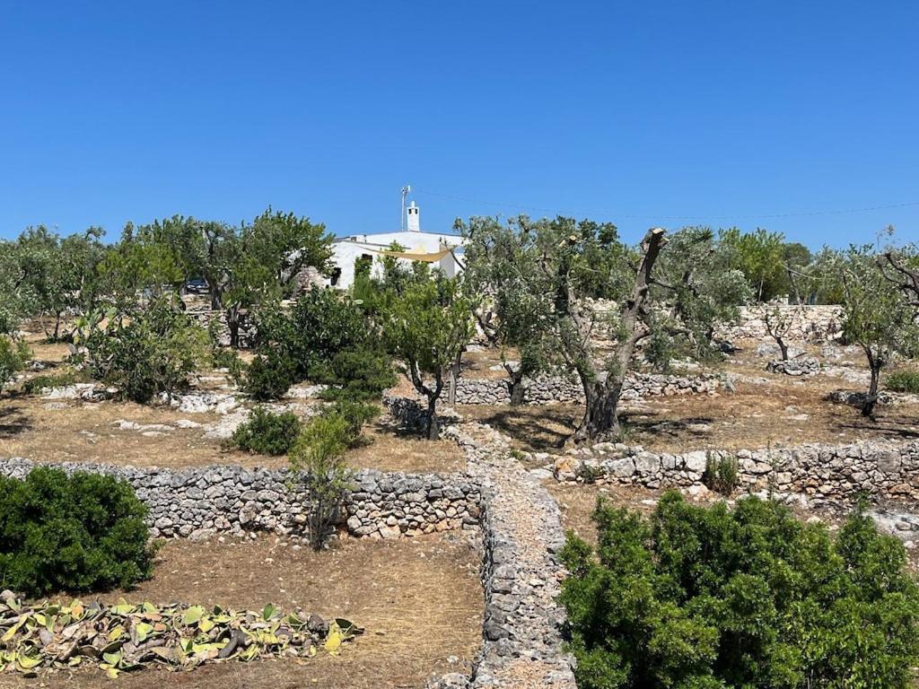 Casa Giuliveto - Charmantes Ferienhaus Mit Privatpool In Olivenhain Ostuni Eksteriør bilde