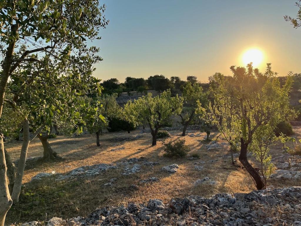 Casa Giuliveto - Charmantes Ferienhaus Mit Privatpool In Olivenhain Ostuni Eksteriør bilde
