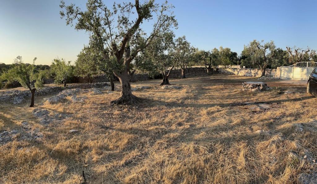 Casa Giuliveto - Charmantes Ferienhaus Mit Privatpool In Olivenhain Ostuni Eksteriør bilde