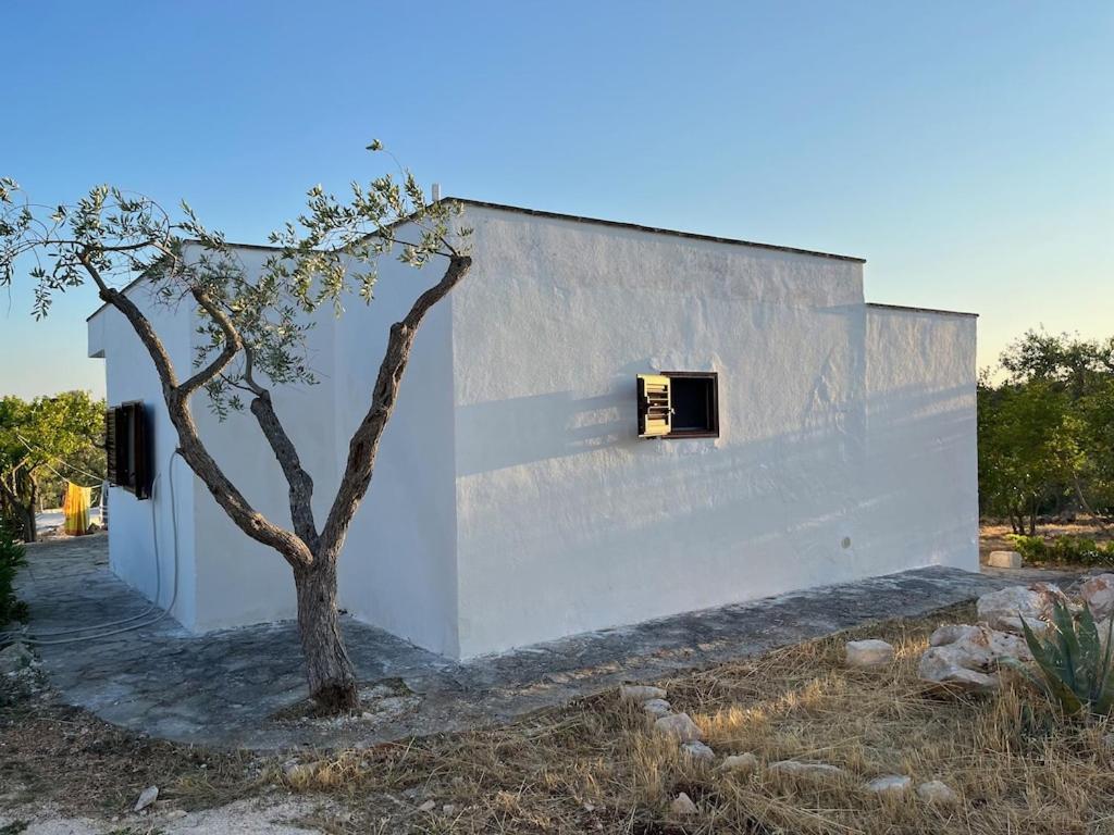 Casa Giuliveto - Charmantes Ferienhaus Mit Privatpool In Olivenhain Ostuni Eksteriør bilde