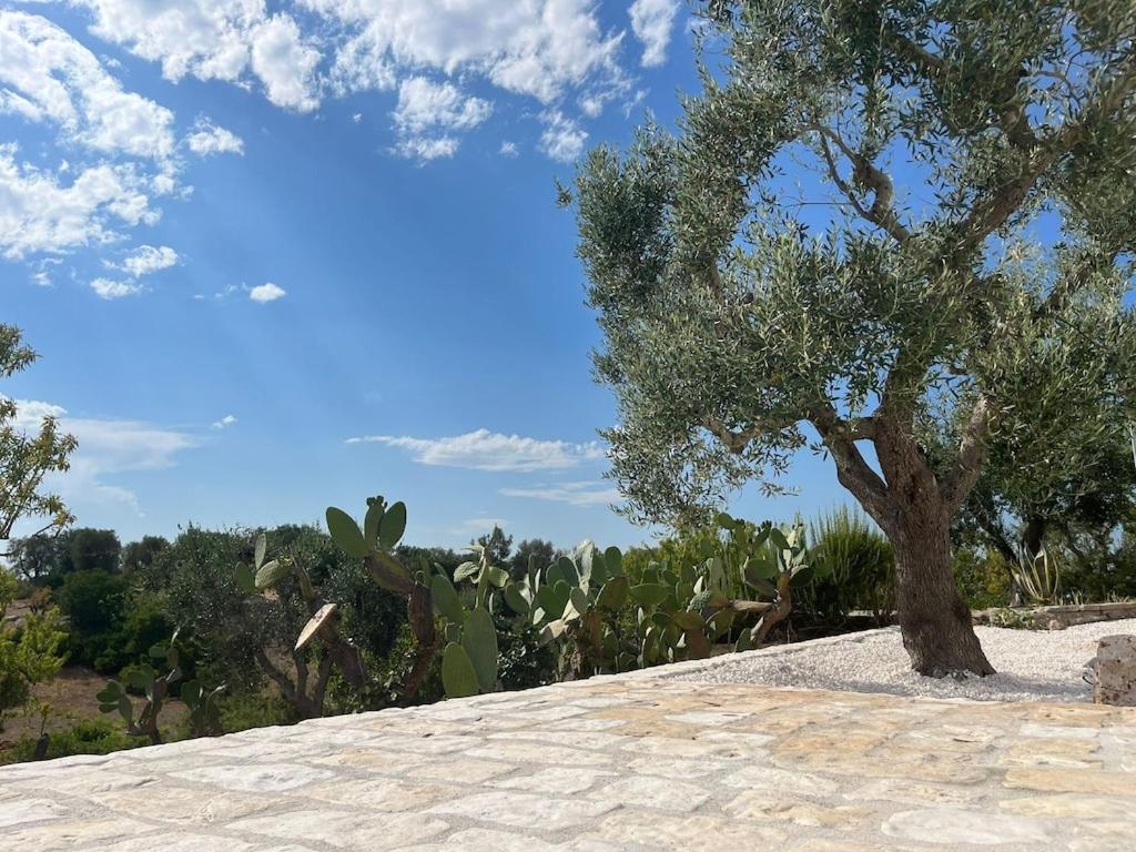 Casa Giuliveto - Charmantes Ferienhaus Mit Privatpool In Olivenhain Ostuni Eksteriør bilde